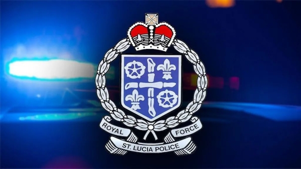 Port Official and Volunteer Among Three Arrested in Major Drug and Firearm Busts