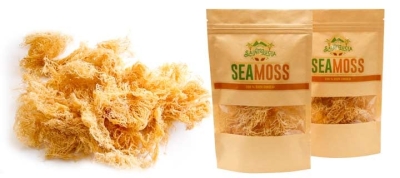 Export Saint Lucia Dismisses Claims of “Fake” Seamoss, Considers Legal Action