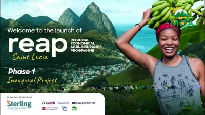 Prospere: Ministry to Roll Out Education Campaign on Insurance Programme