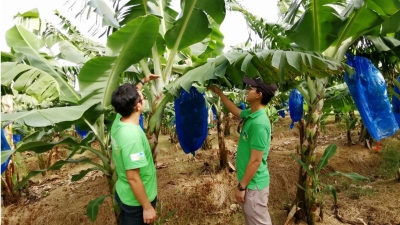 IICA Partners with Youth Group to Boost Agricultural Future