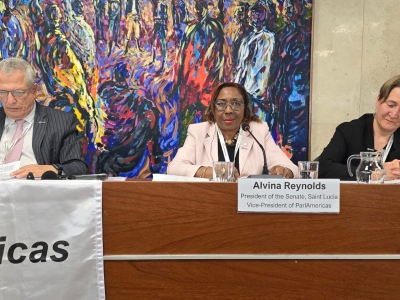 Saint Lucia’s President Of The Senate Honourable Alvina Reynolds Elected As Vice President Of The Parlamericas